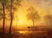 Albert Bierstadt Sunset on the Mountain Sweden oil painting artist